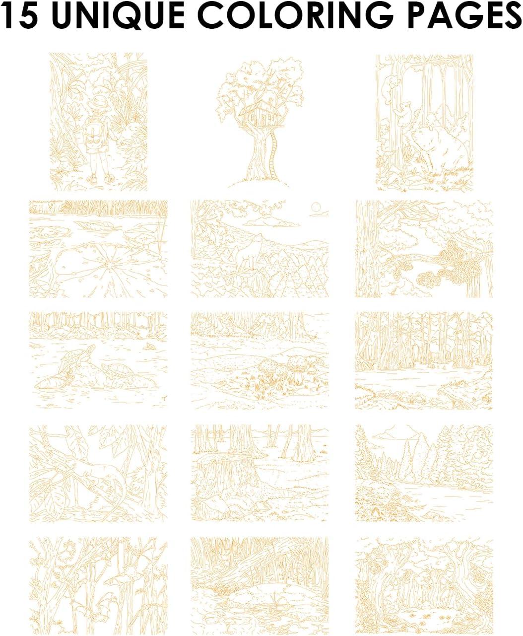 image:imageGrabie Watercolor Coloring Book 15 Sheets A5 83 x 58Watercolor Book for Adults Ignite Your Artistic Expression on 100 Cotton Paper LandScapeForest