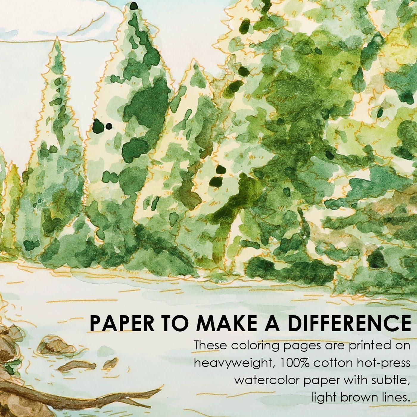 image:imageGrabie Watercolor Coloring Book 15 Sheets A5 83 x 58Watercolor Book for Adults Ignite Your Artistic Expression on 100 Cotton Paper LandScapeForest